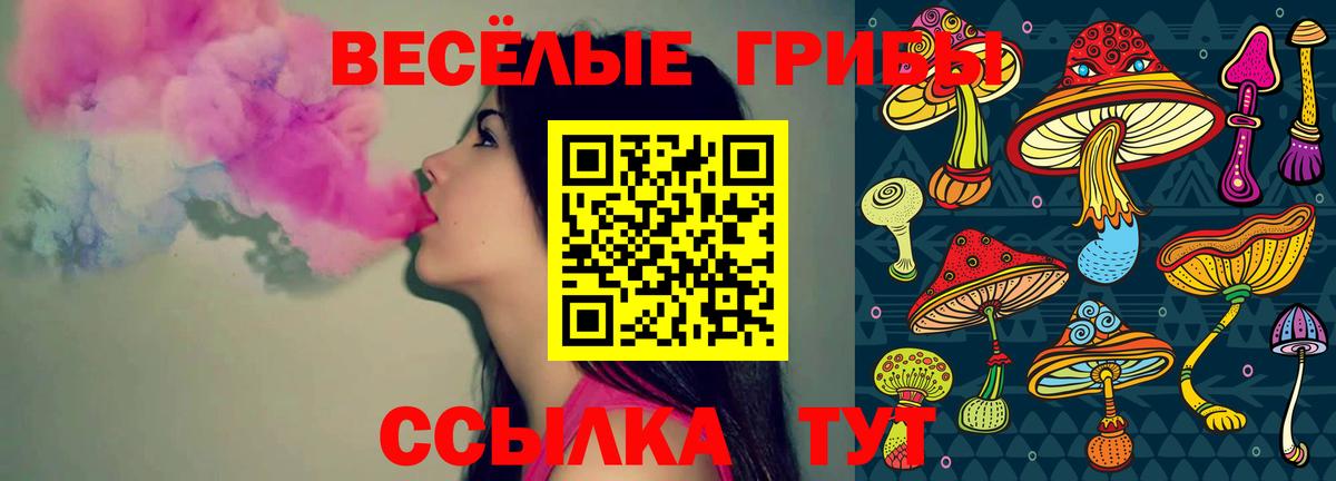 Галлюциногенные грибы Cubensis  дарнет шоп  Усть-Кут  Вход с VPN 