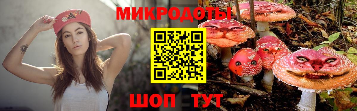 Галлюциногенные грибы прущие грибы Усть-Кут